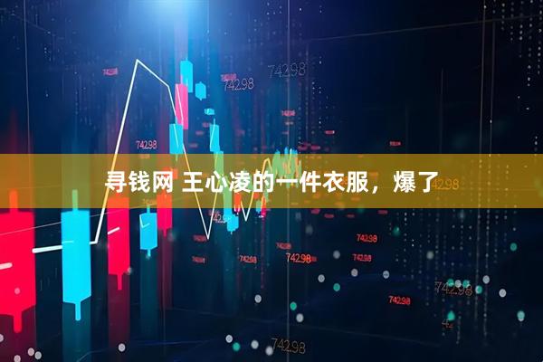 寻钱网 王心凌的一件衣服，爆了