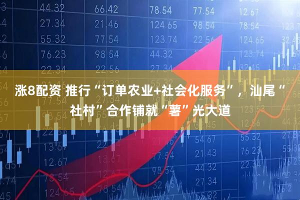 涨8配资 推行“订单农业+社会化服务”，汕尾“社村”合作铺就“薯”光大道