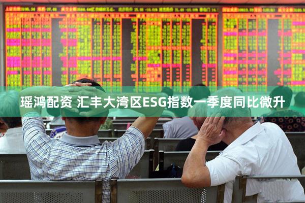 瑶鸿配资 汇丰大湾区ESG指数一季度同比微升