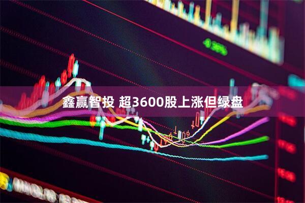 鑫赢智投 超3600股上涨但绿盘